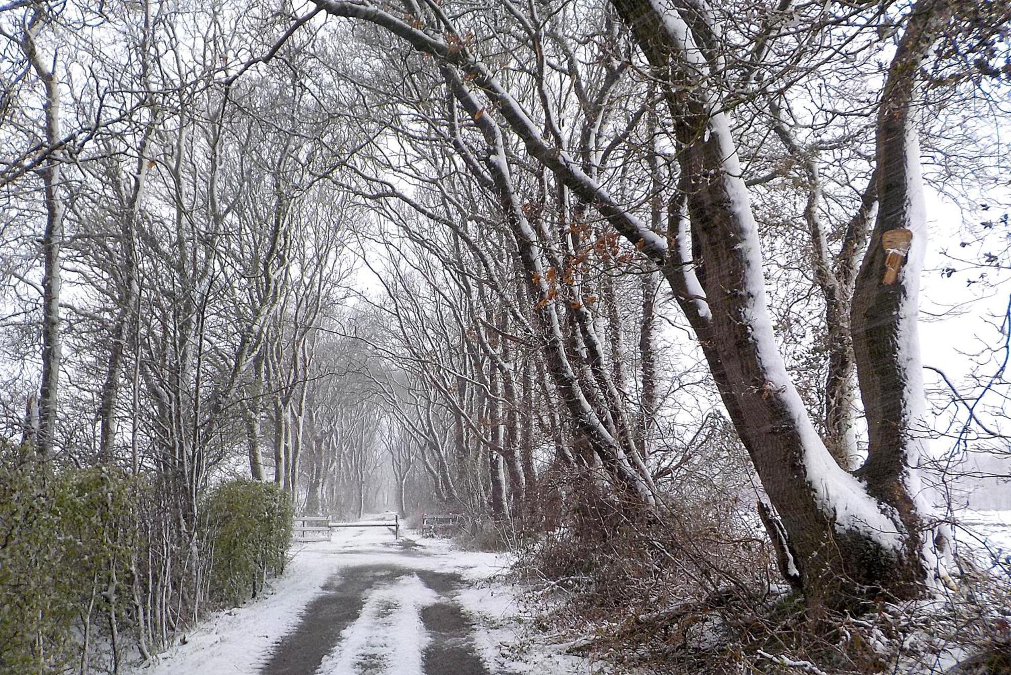 Natuurhuisje 'T Poepekrus Kootstertille Bagian luar foto